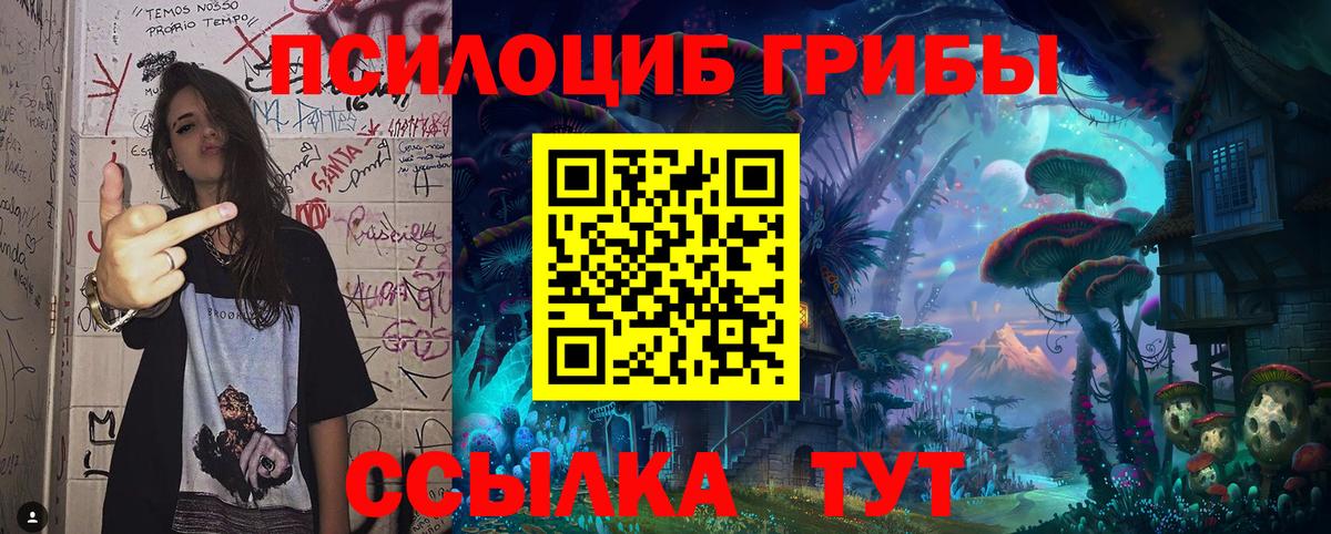 Псилоцибиновые грибы мицелий Малоярославец