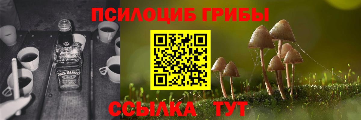 Псилоцибиновые грибы GOLDEN TEACHER  Псилоцибиновые грибы мицелий  Малоярославец  Вход с VPN 
